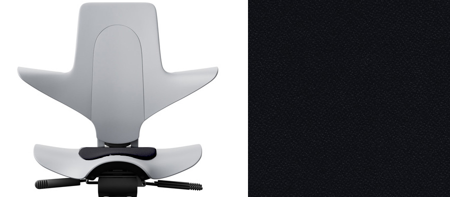 Grau + Xtreme schwarz 009 (PG1)