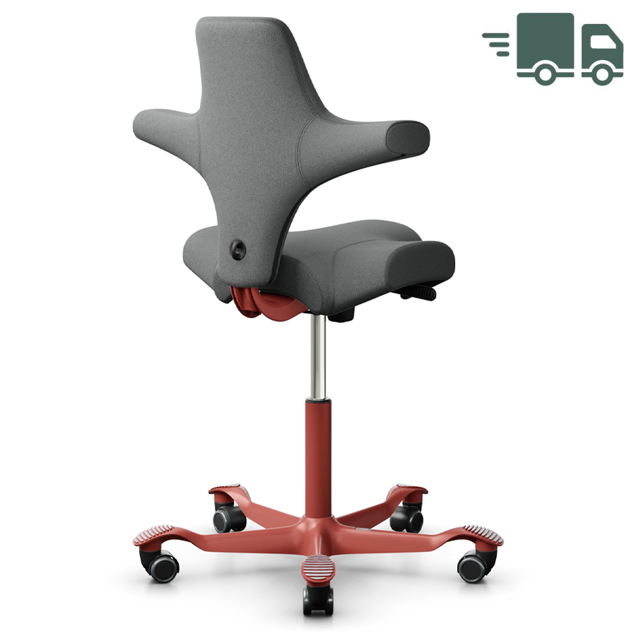 HAG CAPISCO 8106 Stehhilfe | Stoff Cura dunkelgrau | Gestell Blush Rose