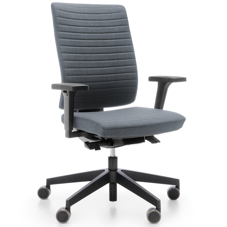 Profim Xenon mit Polsterrücken und Steppung Beispielbild