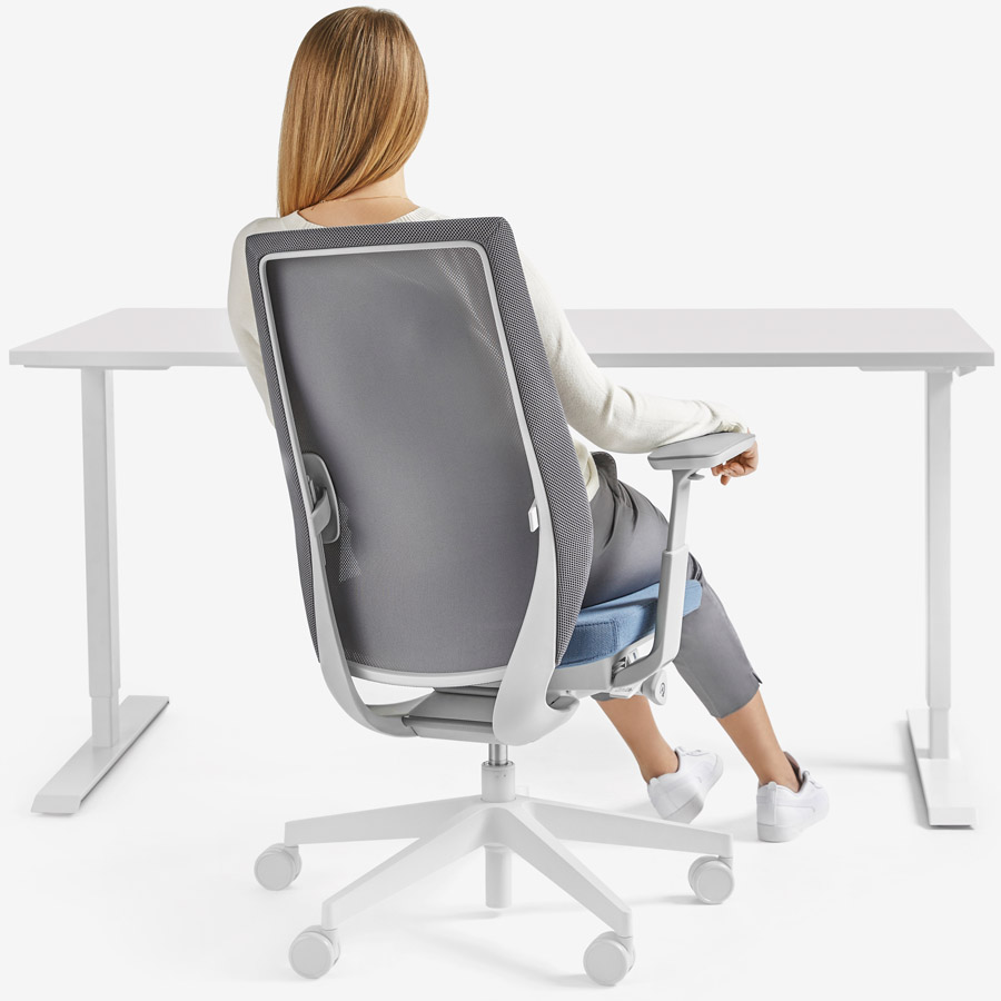 Profim AccisPro mit Netzrücken grau Beispielbild