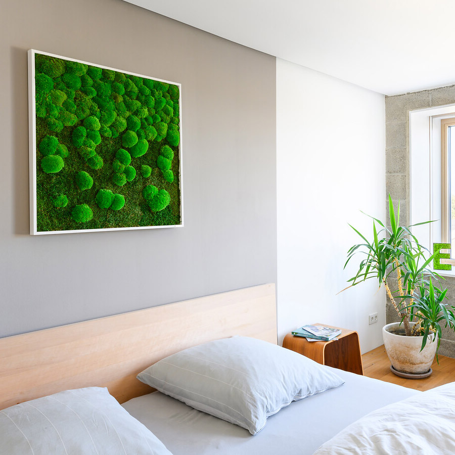 Moosbild im Wald- und Kugelmoosdesign mit Verlauf | 100x60cm | Vollholz Rahmen weiß