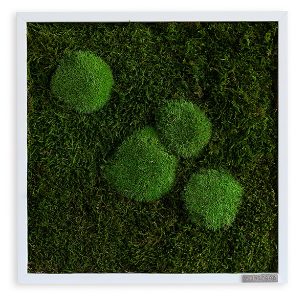 Moosbild im Wald- und Kugelmoosdesign | 35x35cm | Vollholz Rahmen weiß