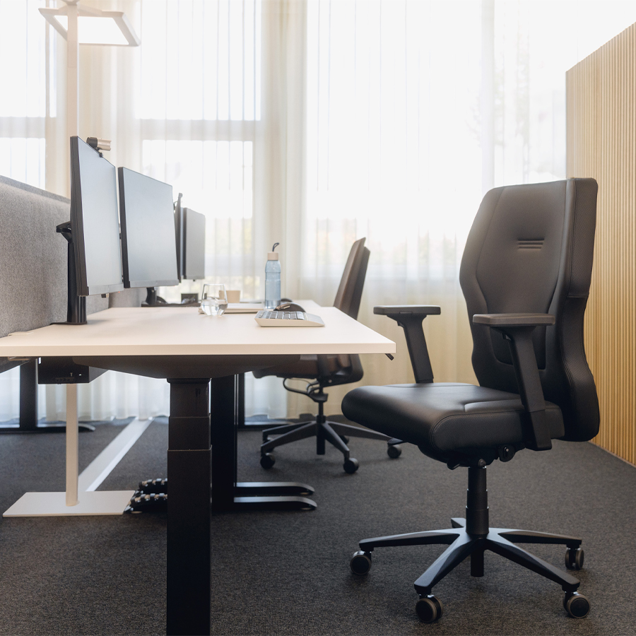 Interstuhl XL112 Leder Beispielbild