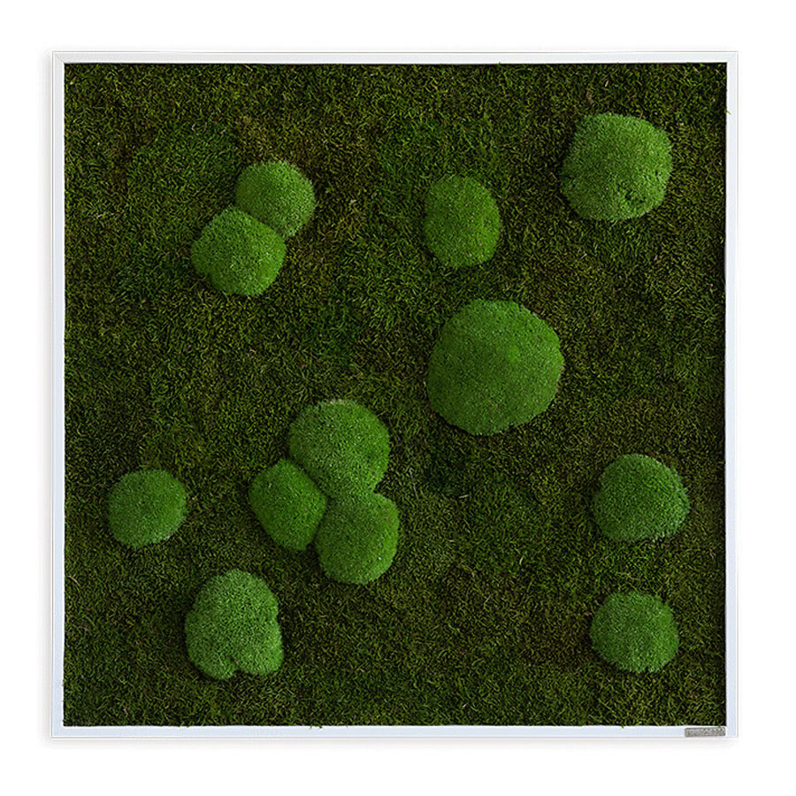 Moosbild im Wald- und Kugelmoosdesign | 80x80cm | Vollholz Rahmen weiß