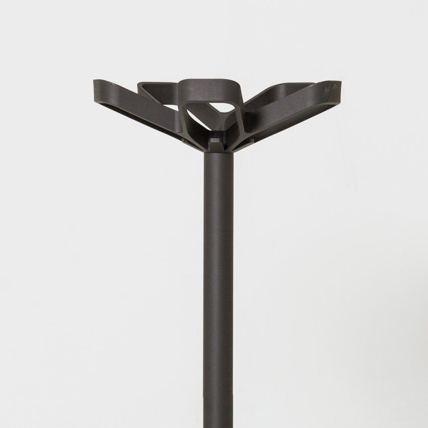 Cascando Flower | Nahaufnahme Krone