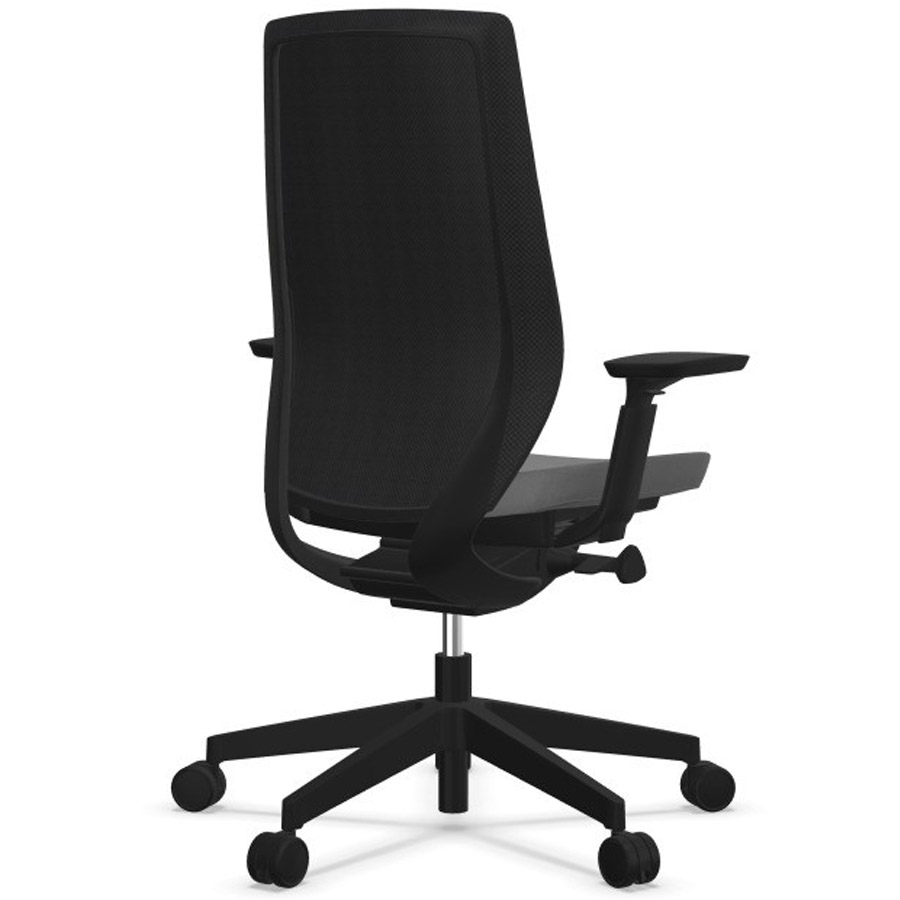 Profim AccisPro mit Netzrücken schwarz und Sitzbezug EVO anthrazit EV14 - Rückseite