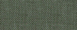 Sawana SN34 Grün