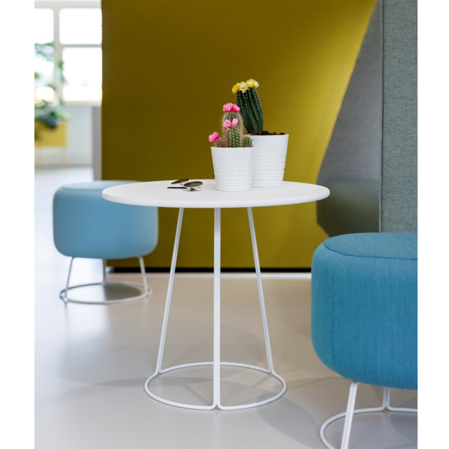 Cascando Paddy Tisch