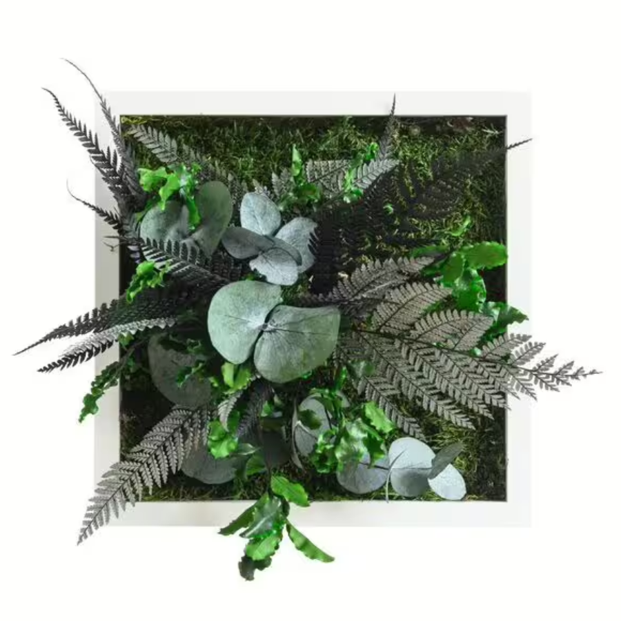 Pflanzenbild im Dschungeldesign 22x22cm | Vollholz Rahmen weiß