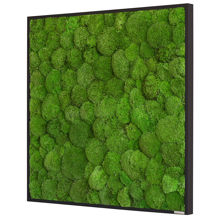 stylegreen-80x80-mooskugelbild-2