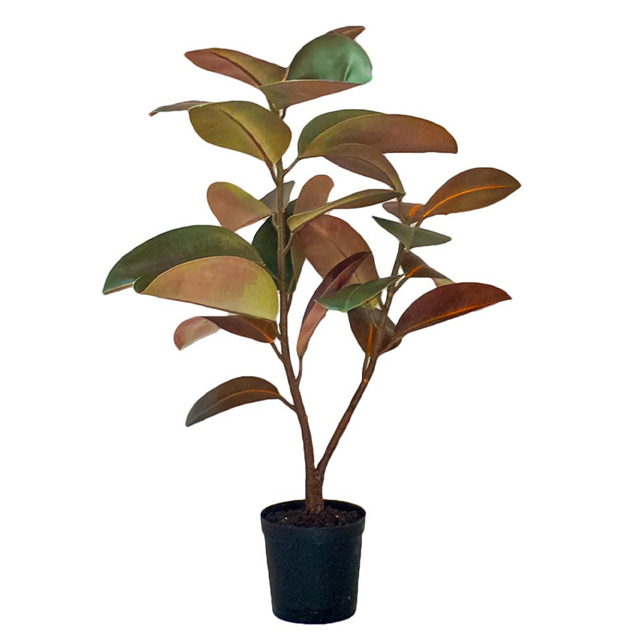 Götessons Kunstpflanze | Fikus Elastica