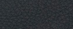 Paloma 55185