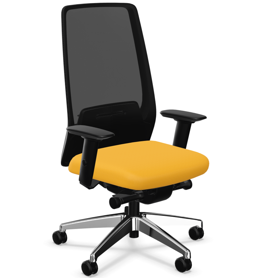 Interstuhl AIMis1 AM21C Rückenlehne schwarz Polster maisgrau