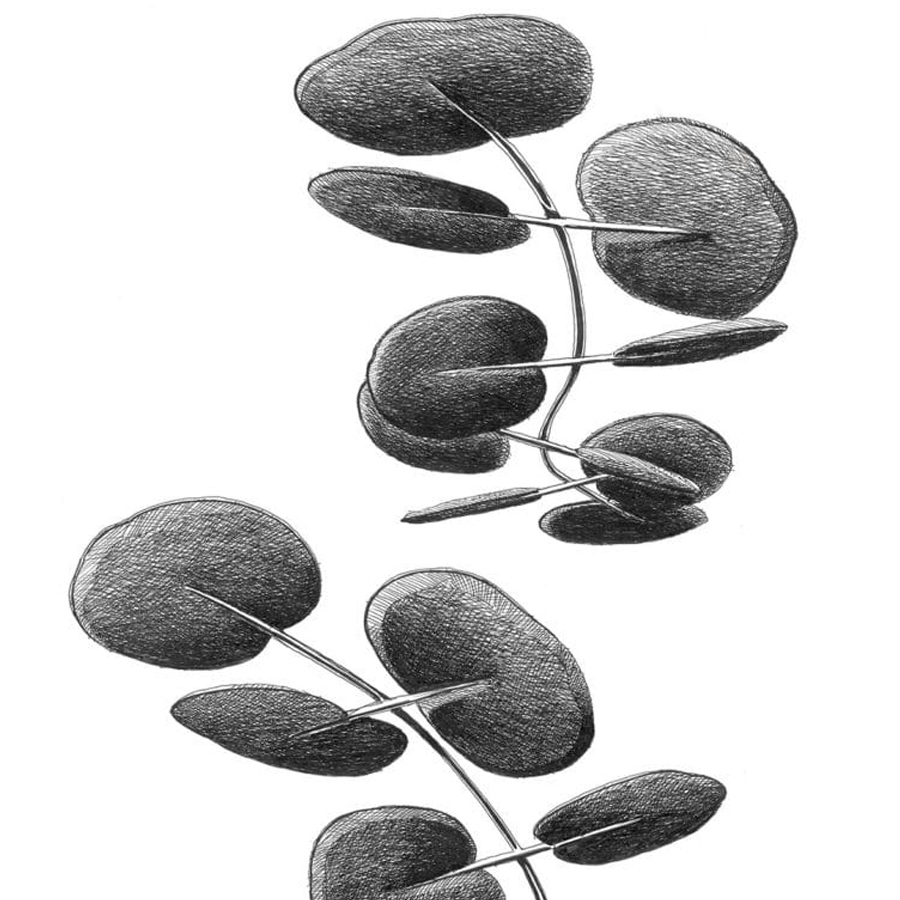 Caimi Botanica Akustik-Wand- und Deckenabsorber - Zeichnung