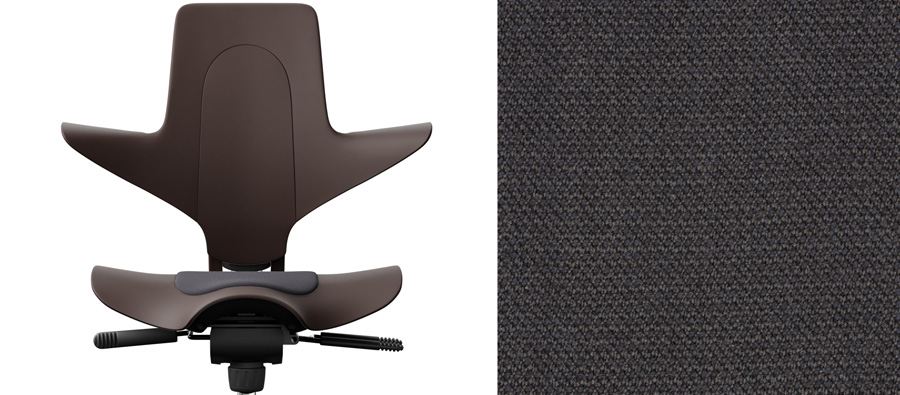 Braun + Capture Charcoral CPT5501 (PG3)