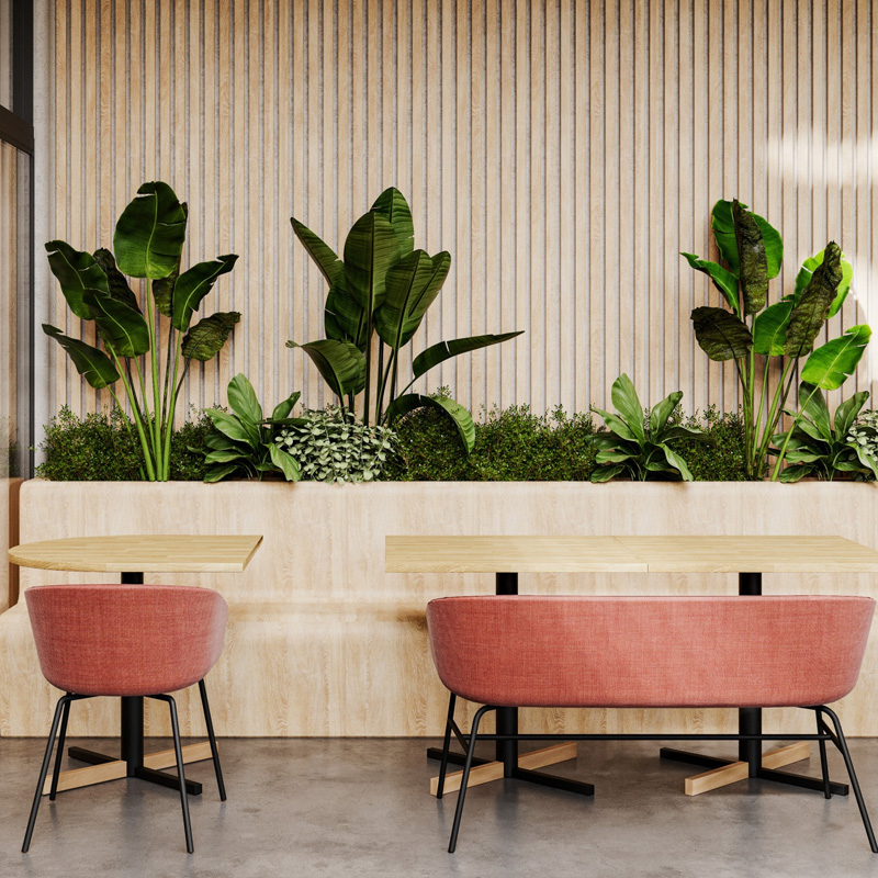 Bejot Oxco-small ox s 215