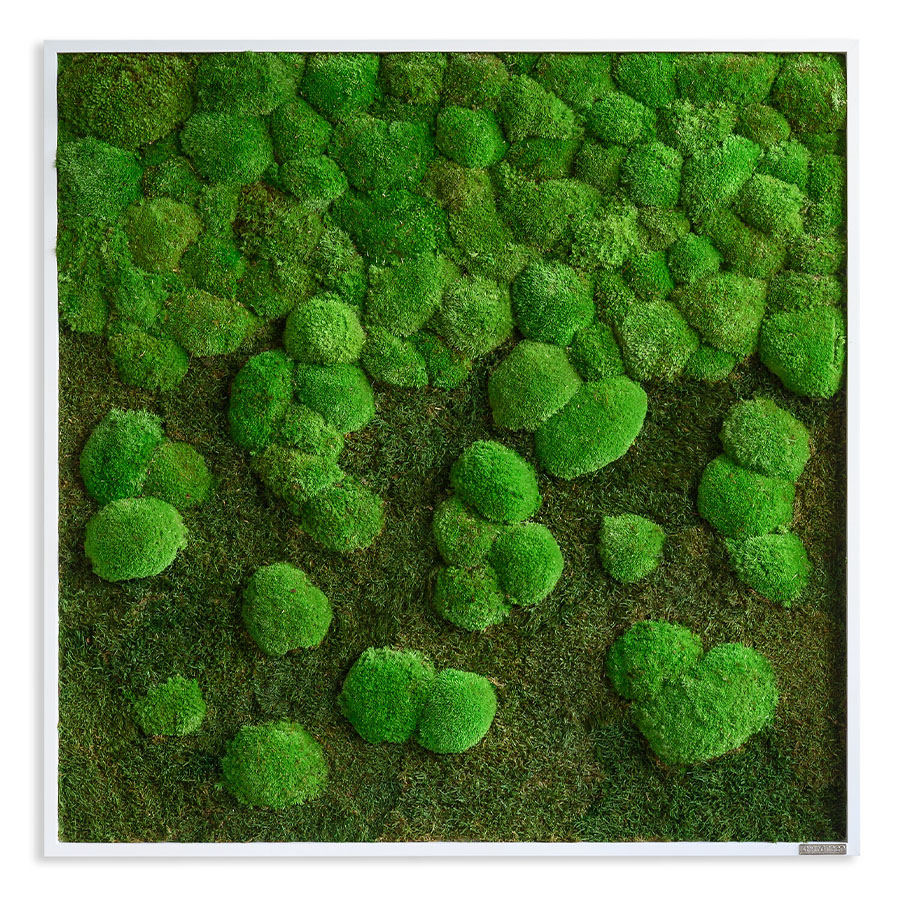 Moosbild im Wald- und Kugelmoosdesign mit Verlauf | 100x60cm | Vollholz Rahmen weiß