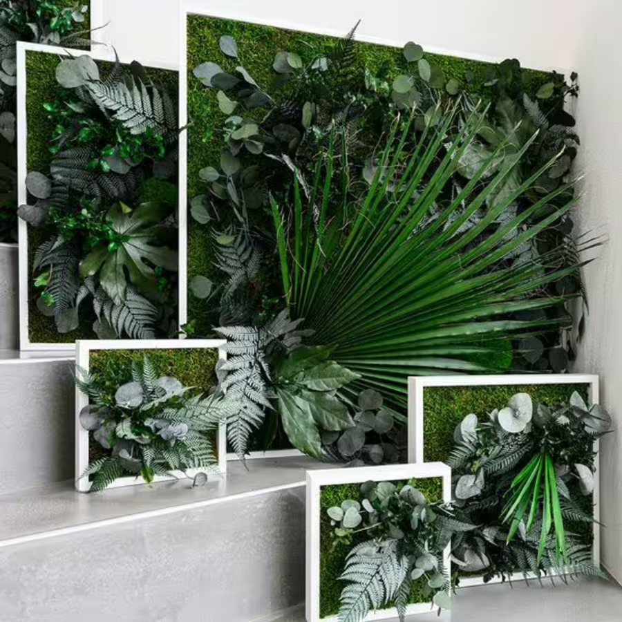 stylegreen Pflanzenbilder Beispielbild