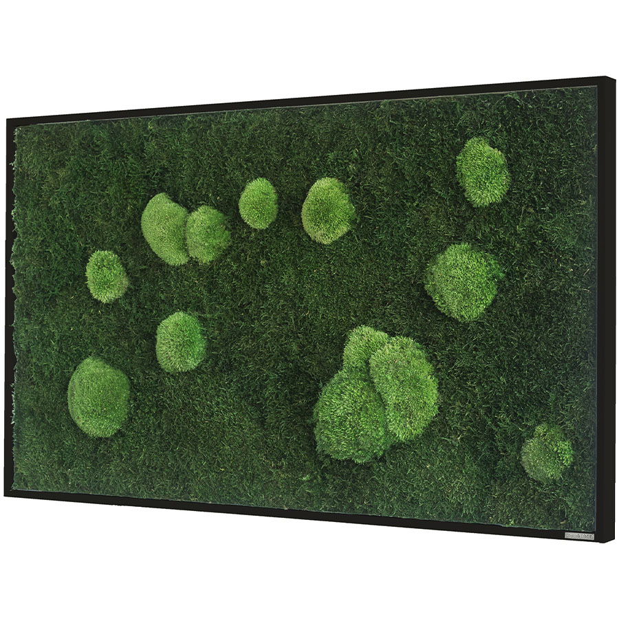 Moosbild im Wald- und Kugelmoosdesign | 100x60cm | Vollholz Rahmen schwarz