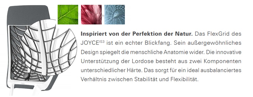 flexgrid-bildaOjRGQGAc0PFM