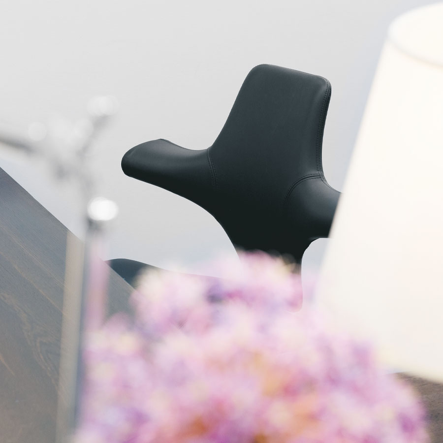 HAG CAPISCO 8106 Leder schwarz - Beispielbild