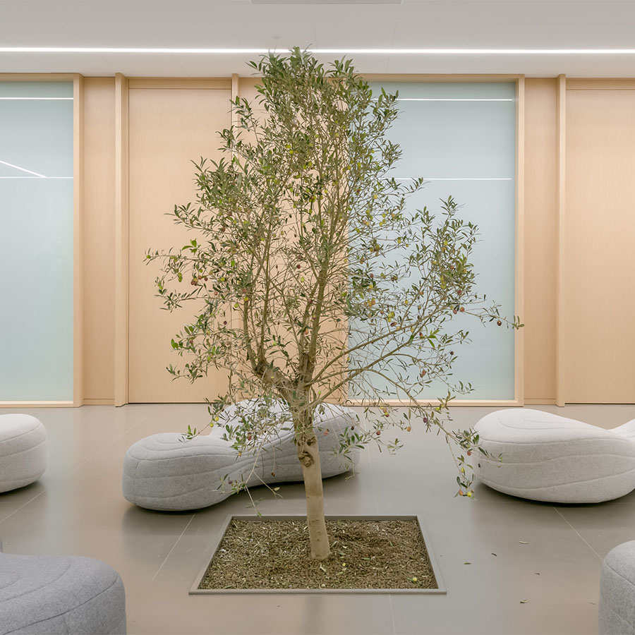 Noti Bouli 2-Sitzer-Sofa mit Fußgleiter Beispielbild