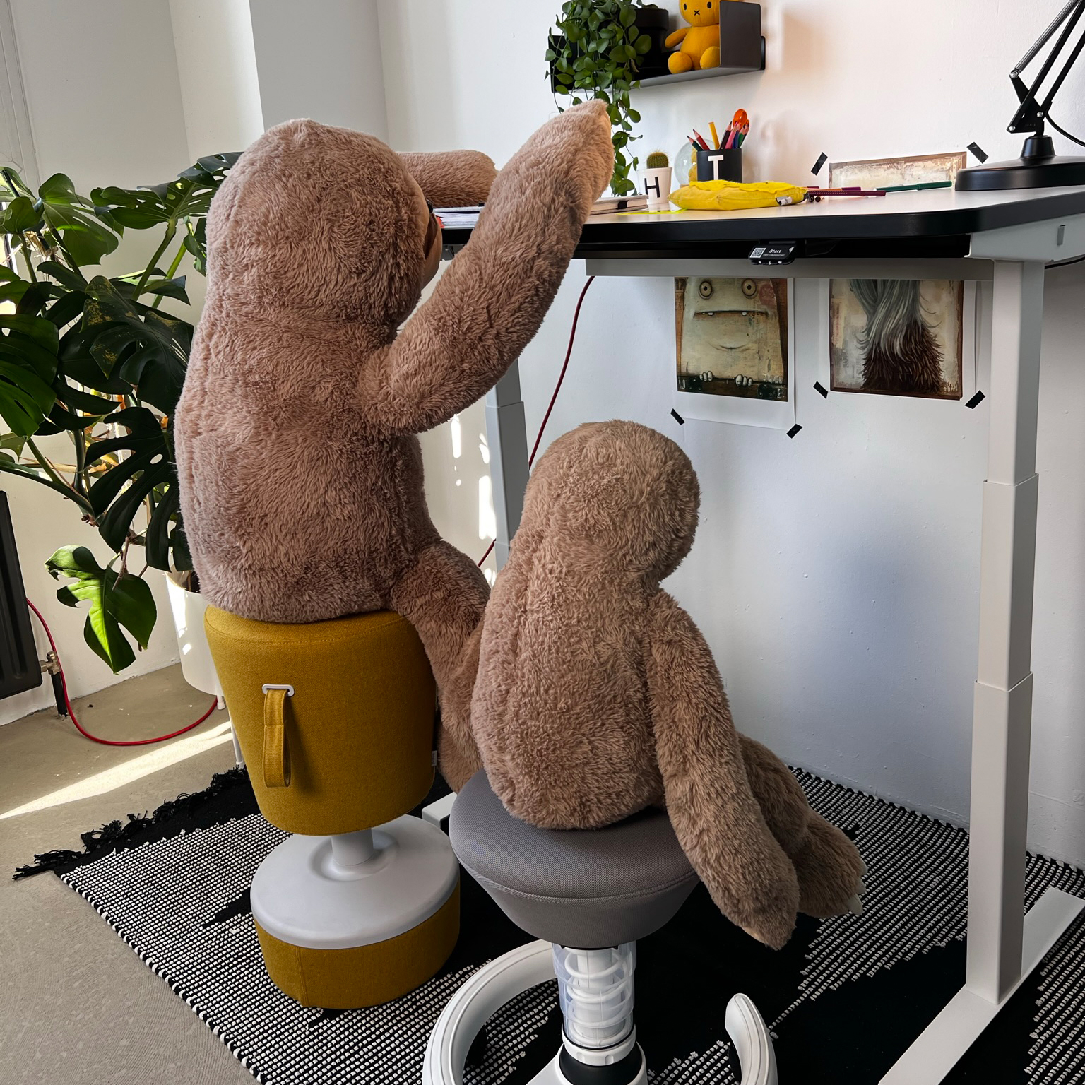 Kinder Schreibtisch CLEO elektrisch höhenverstellbar Weiß mit Faultier