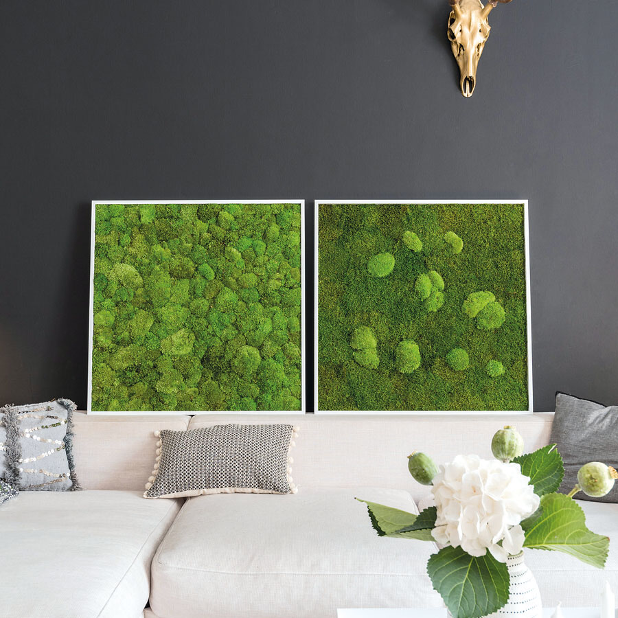 Moosbild im Kugelmoosdesign | Beispielbild