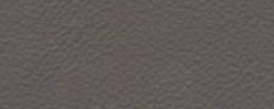 Leder bezogen grau C7