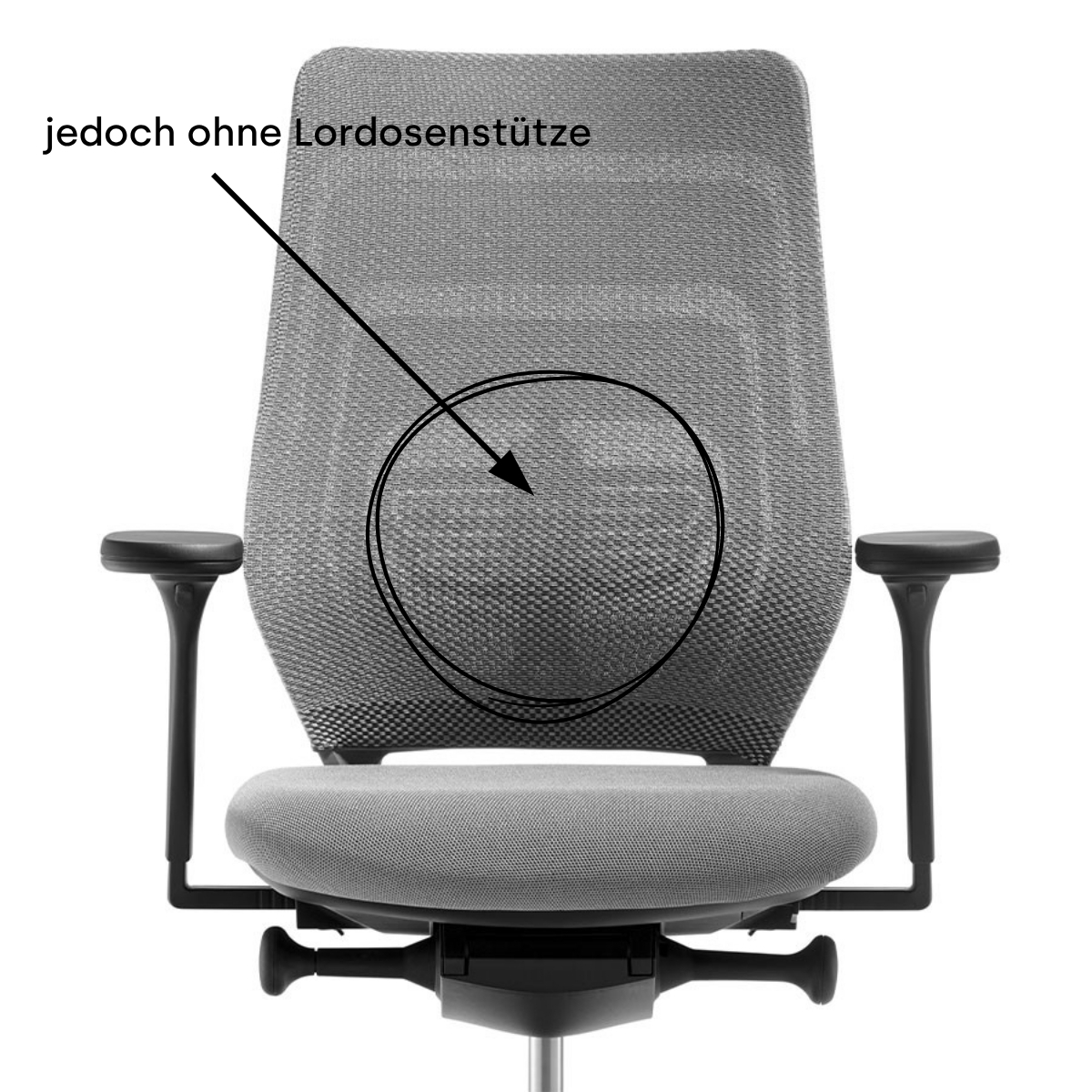 FM Asiento grau komfort Rückenlehne ohne Lordose