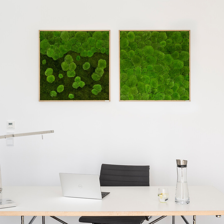Moosbild im Kugelmoosdesign | Beispielbild