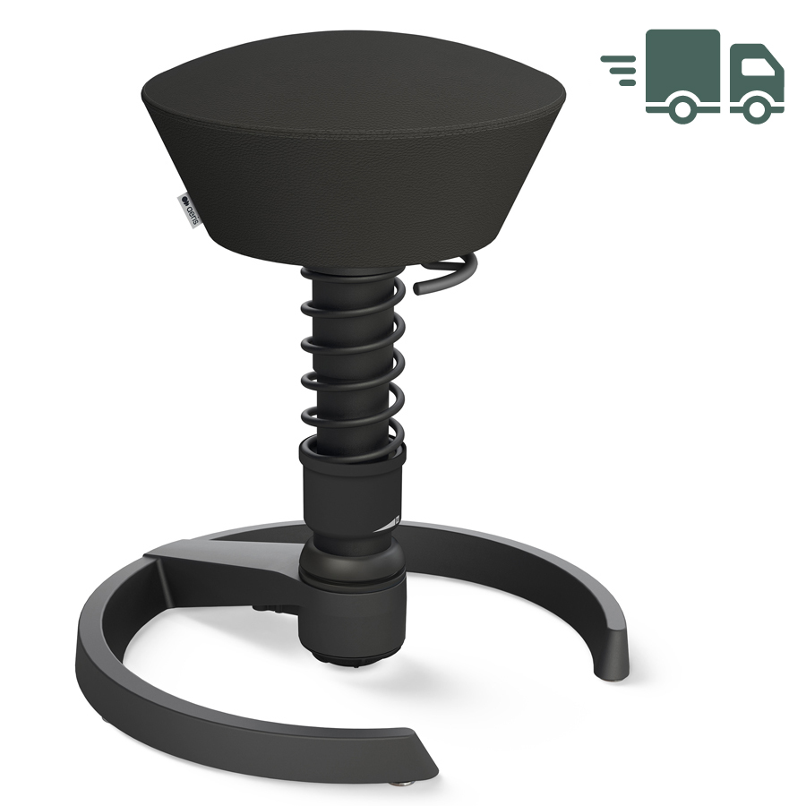 Aeris Swopper Echtleder schwarz - Gleiter - Gestell schwarz Standardfeder