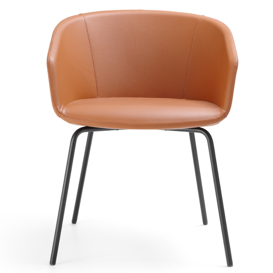 Bejot oxco small OX S 215 - Frontansicht