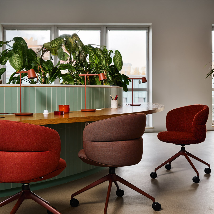 Noti Ekori Drehgestell 4-Arm mit Rollen Beispielbild