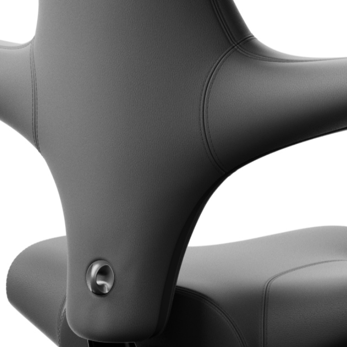 HAG Capisco 8106 Leder schwarz