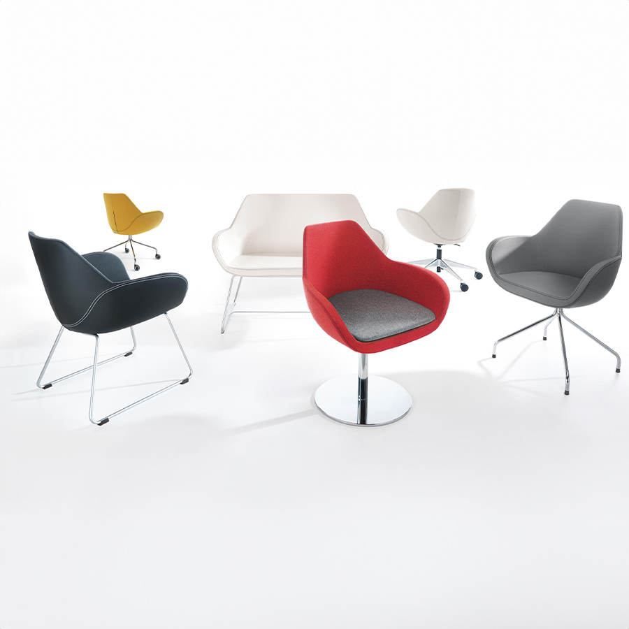 Profim Fan Kollektion