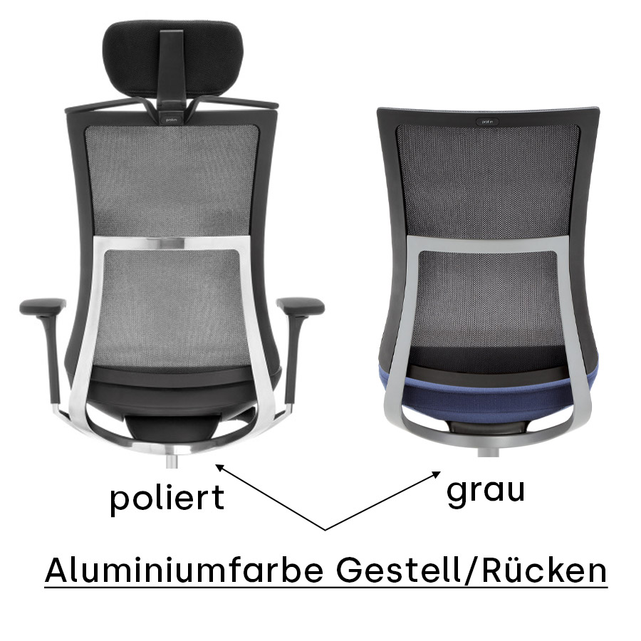 Unterschied Rücken/Gestell Alu poliert + Alu anthrazit