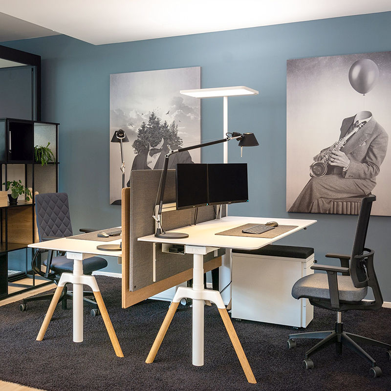 ergonomischer-Arbeitsplatz-Konig-neurath