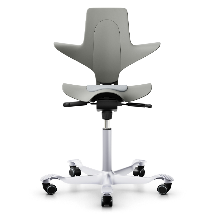 HAG Capisco Puls 8010 Clay mit schwarzer Stoffeinlage - Frontansicht