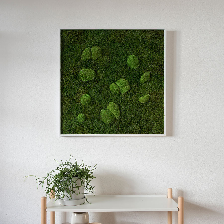 Moosbild im Wald- und Kugelmoosdesign | 80x80cm | Vollholz Rahmen weiß