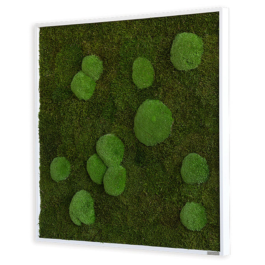 Moosbild im Wald- und Kugelmoosdesign | 80x80cm | Vollholz Rahmen weiß