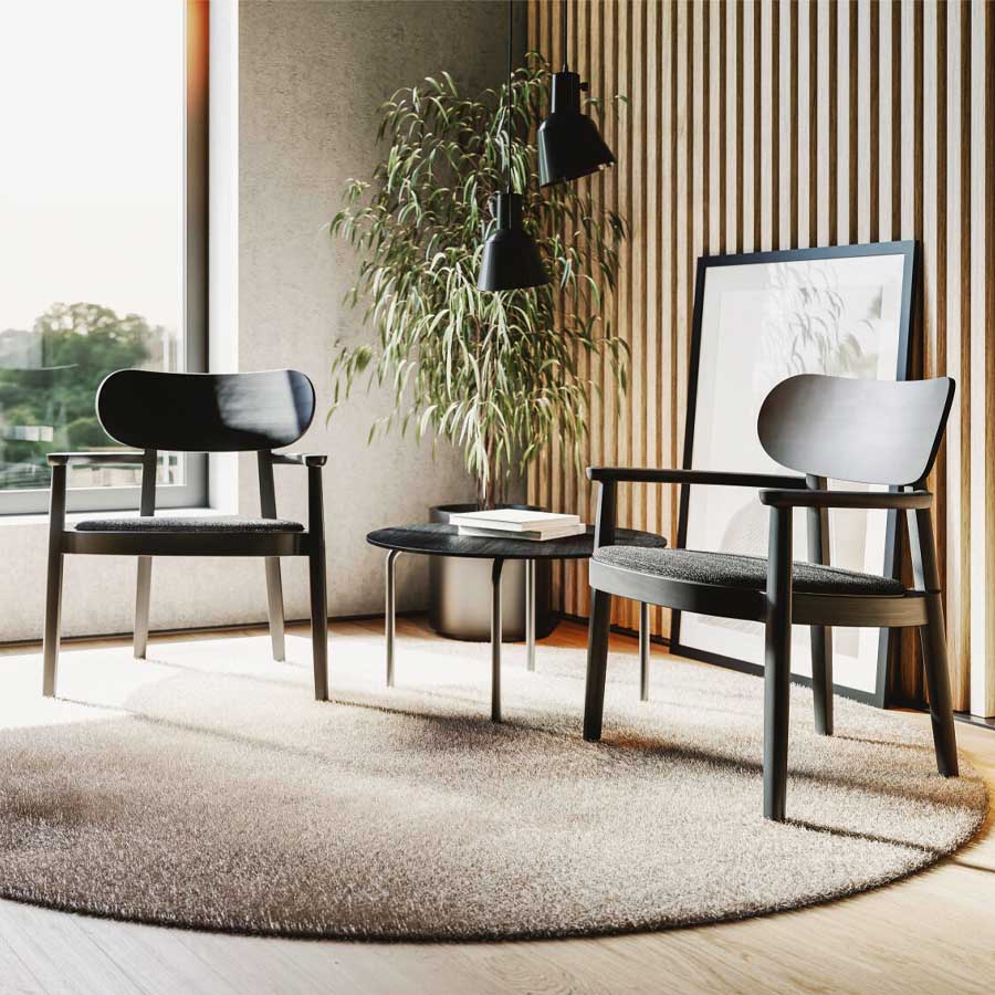 THONET 119 SPF Holzstuhl schwarz mit Armlehnen | Polstersitz | Beispielbild