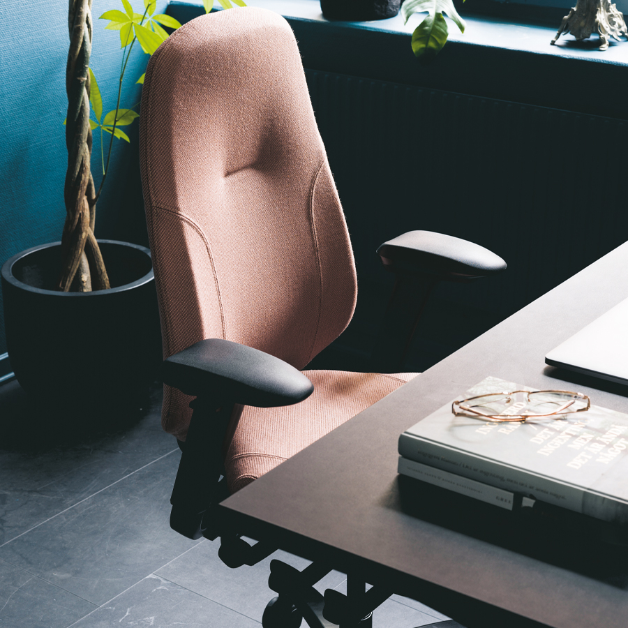 RH Mereo 300 hohe Rückenlehne - Beispielbild