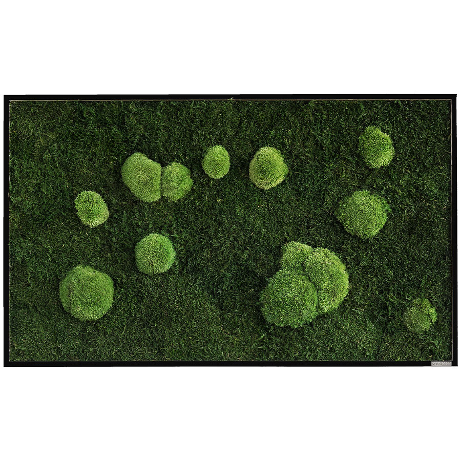 Moosbild im Wald- und Kugelmoosdesign | 100x60cm | Vollholz Rahmen schwarz