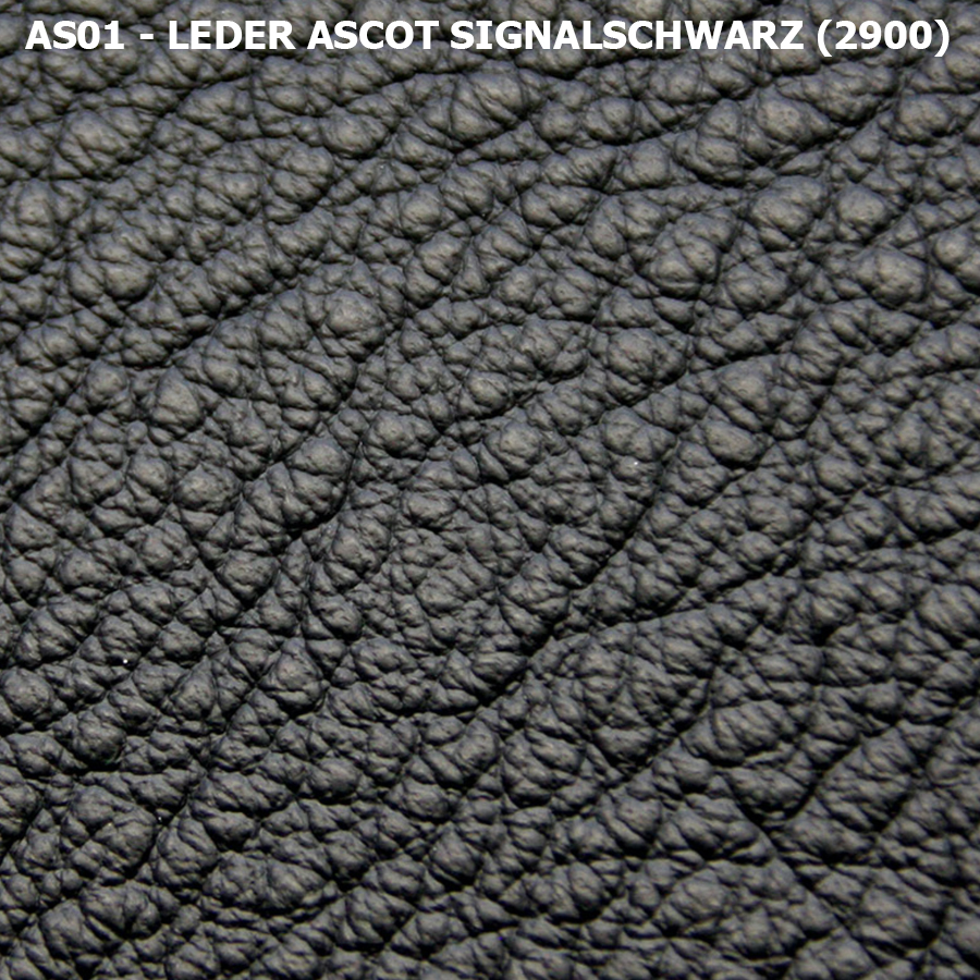 Leder Ascot - Schwarz