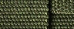 Riemen Verde