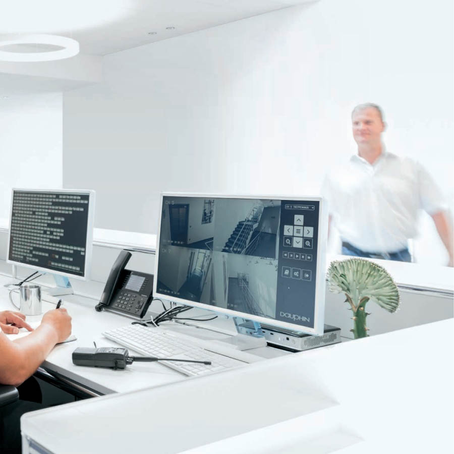 Dauphin Cento Miglia XXL Einsatzort