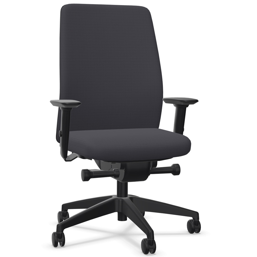 Interstuhl AIMis1 AM16E anthrazit