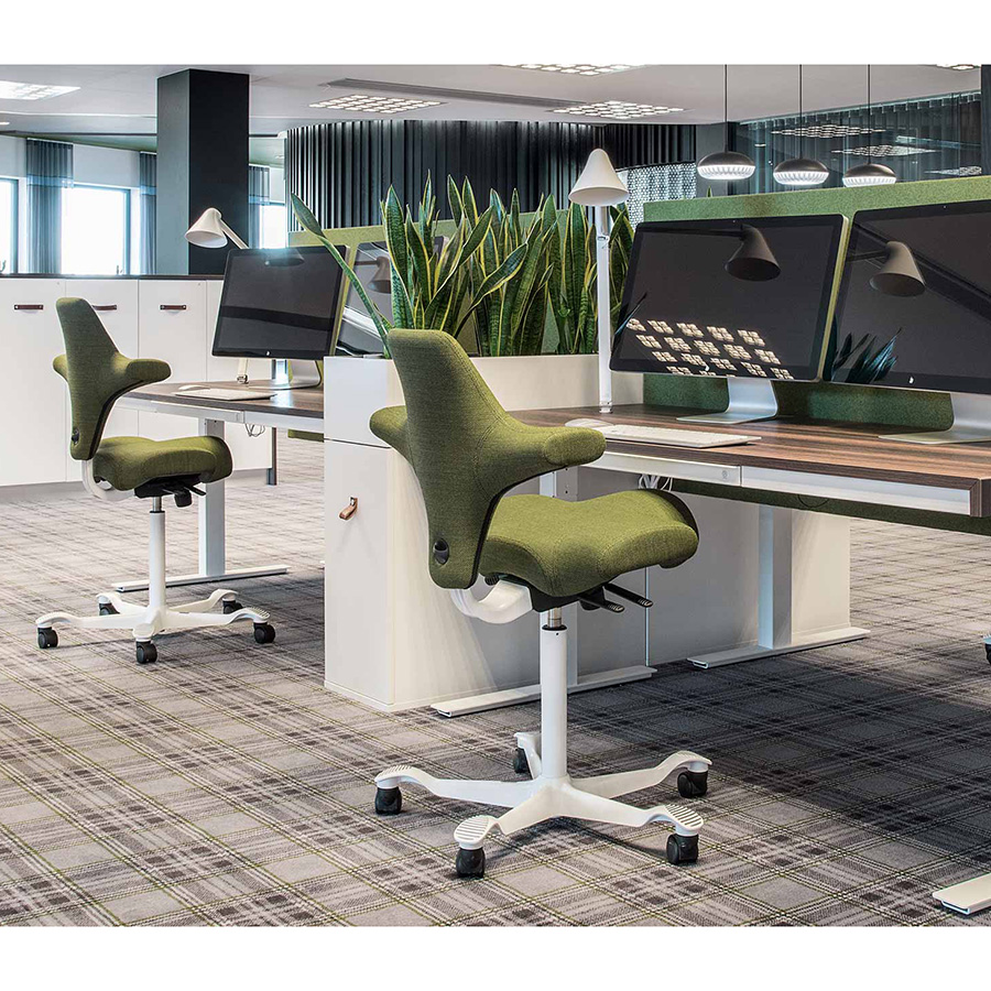 HAG Capisco 8106 grün weiss