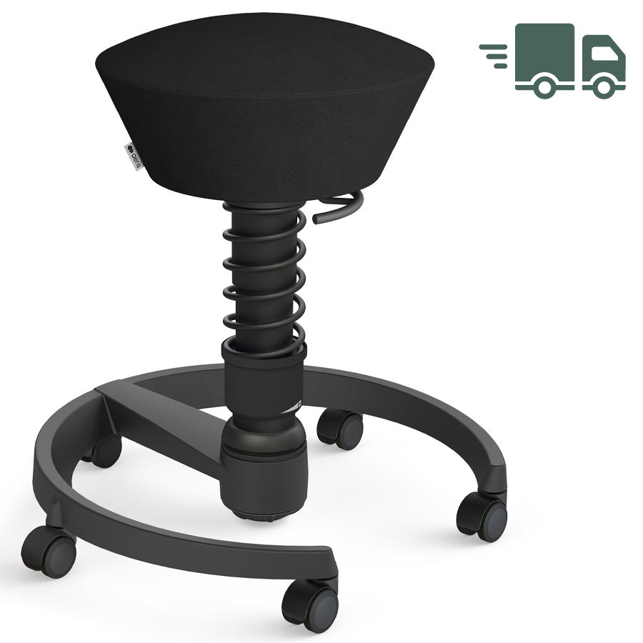 Aeris Swopper Mikrofaser schwarz mit Rollen